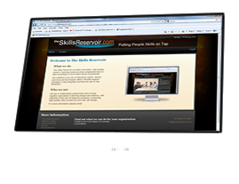 Recent Examples Screen Shots